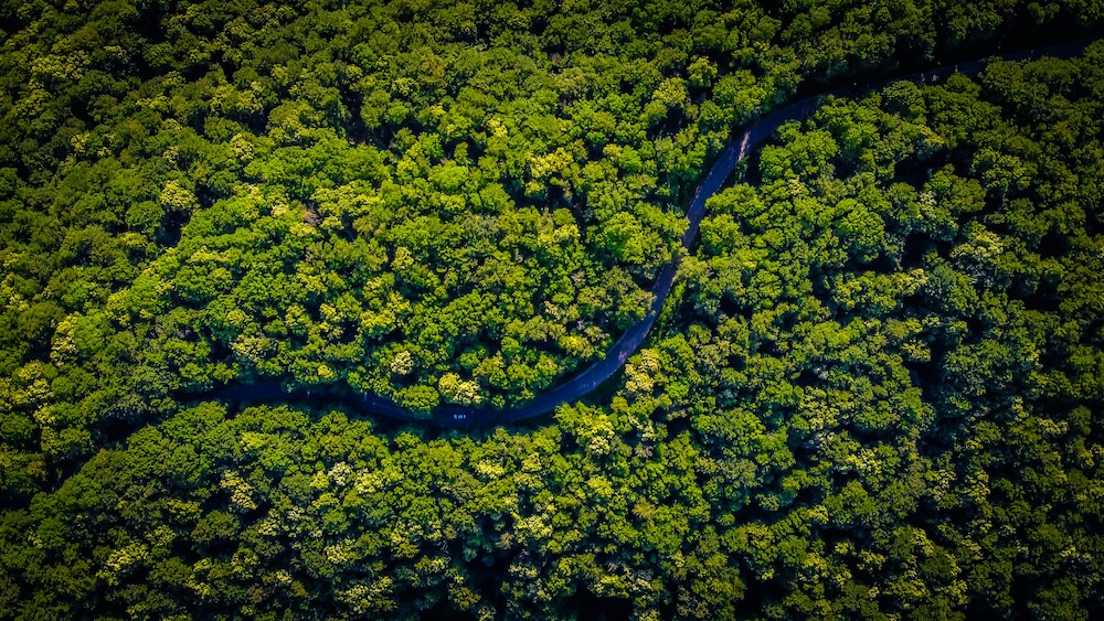 Manaus, Brasile